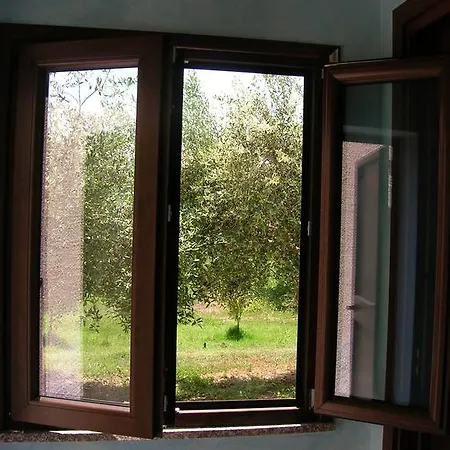 Rita Sea Sun And Nature